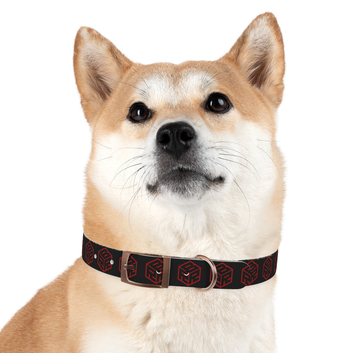 “My Dog Has a Better Collar Than Your Car” Collar