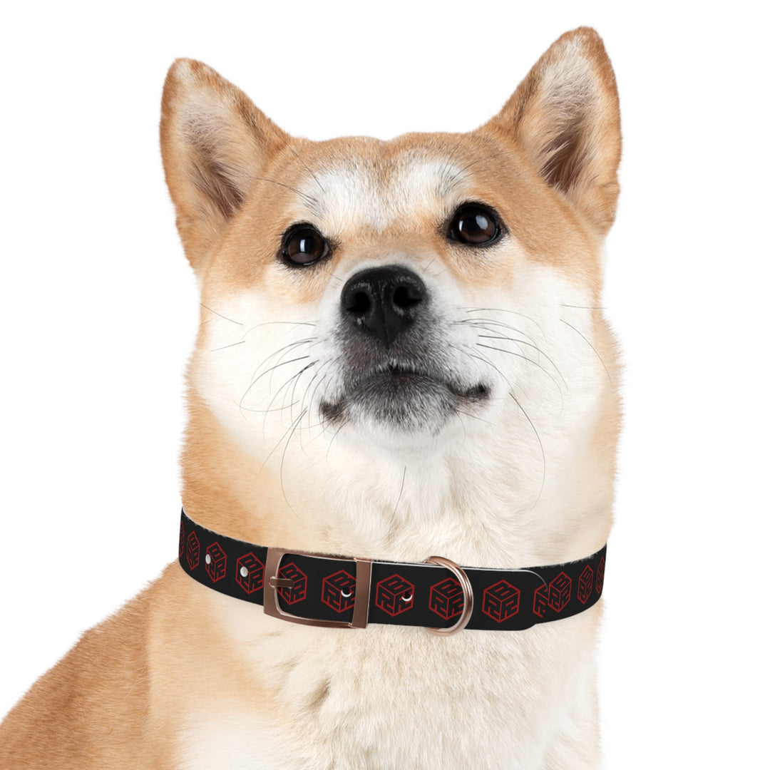 “My Dog Has a Better Collar Than Your Car” Collar
